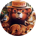 Smokey Bear profile illustration